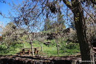 nte Egitto-29-04-2023 09-20-08